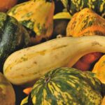 Doce de abóbora com coco e canela
